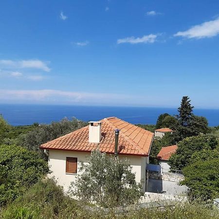 Kouros Villa! Paltsi Pilion Eksteriør bilde