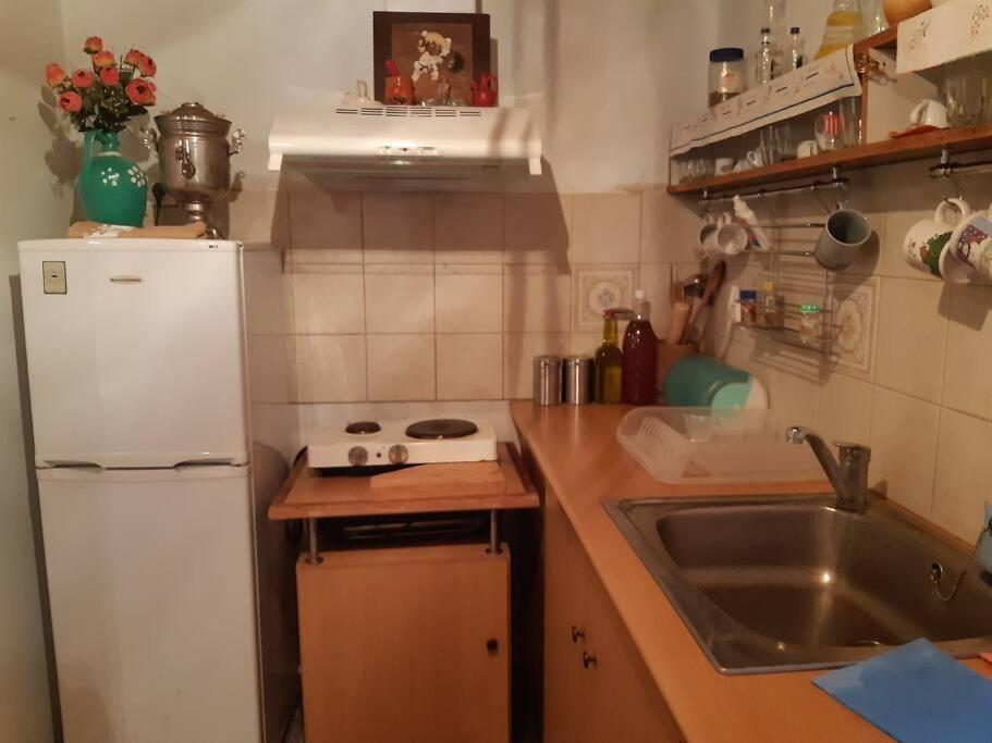 Kouros Villa! Paltsi Pilion Eksteriør bilde