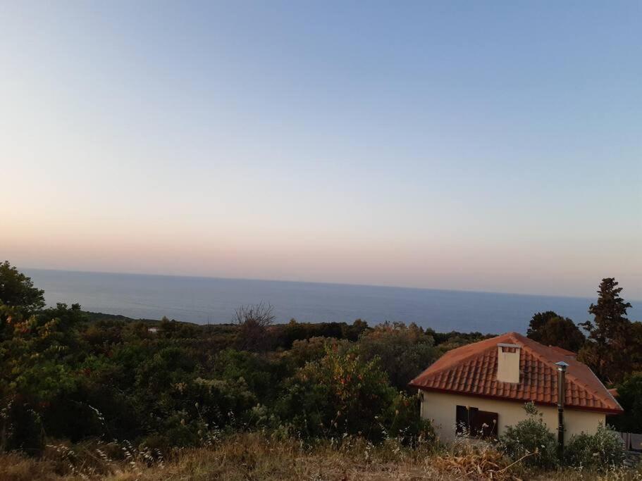 Kouros Villa! Paltsi Pilion Eksteriør bilde