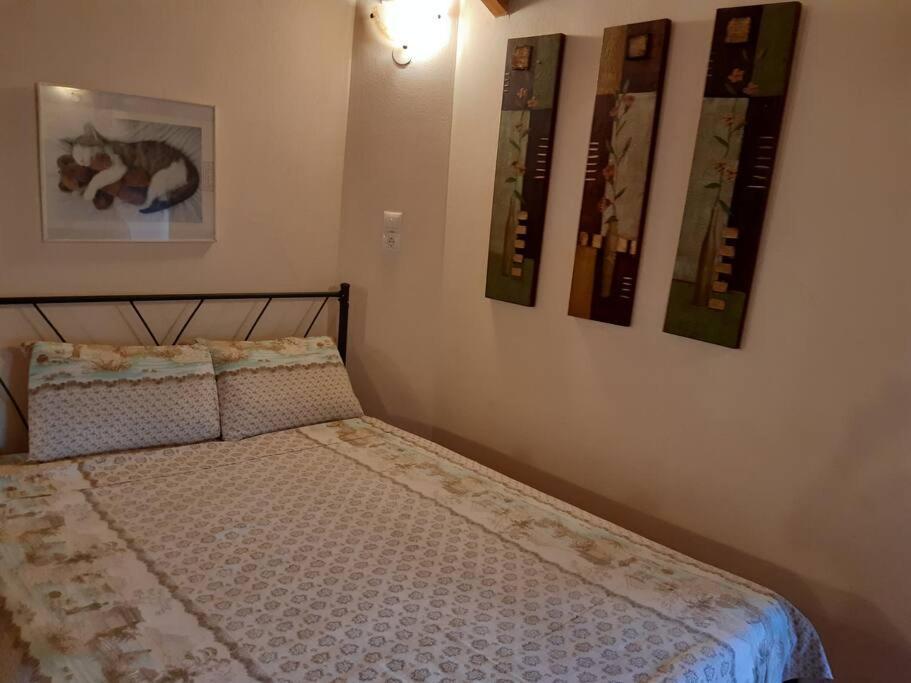 Kouros Villa! Paltsi Pilion Eksteriør bilde