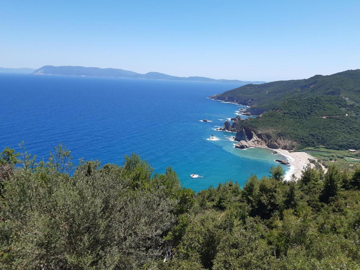 Kouros Villa! Paltsi Pilion Eksteriør bilde